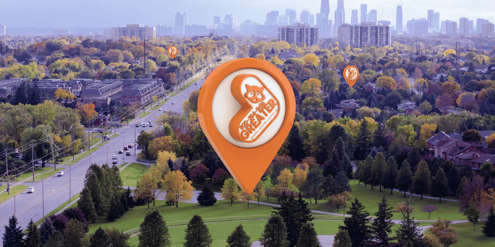 Wildlife control in Mississauga