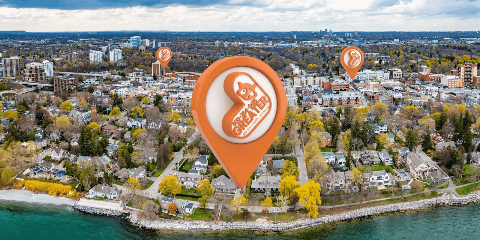 Wildlife control in Oakville